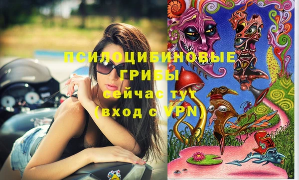 крисы Бронницы