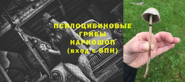 мдпв Бугульма