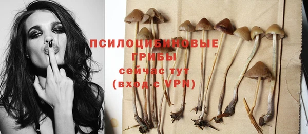 мдпв Бугульма