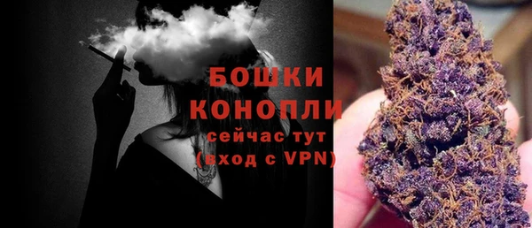 мдпв Бугульма