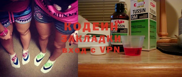 крисы Бронницы